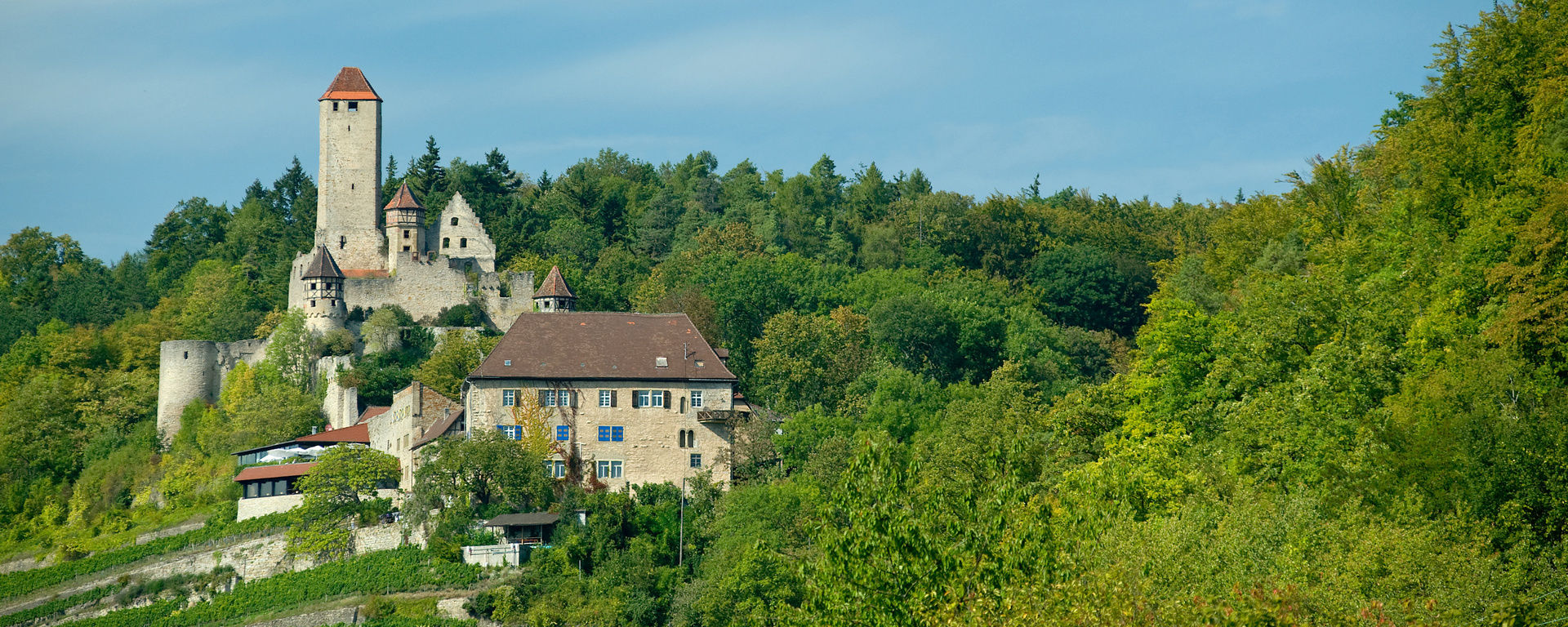 Weinberge