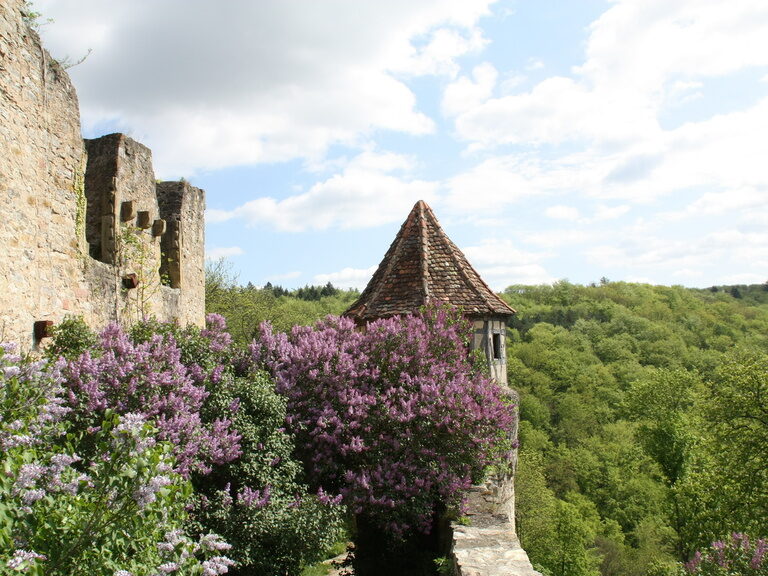 Schloss